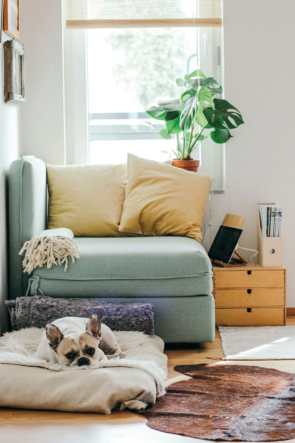 Household items ready for a move-out sale
